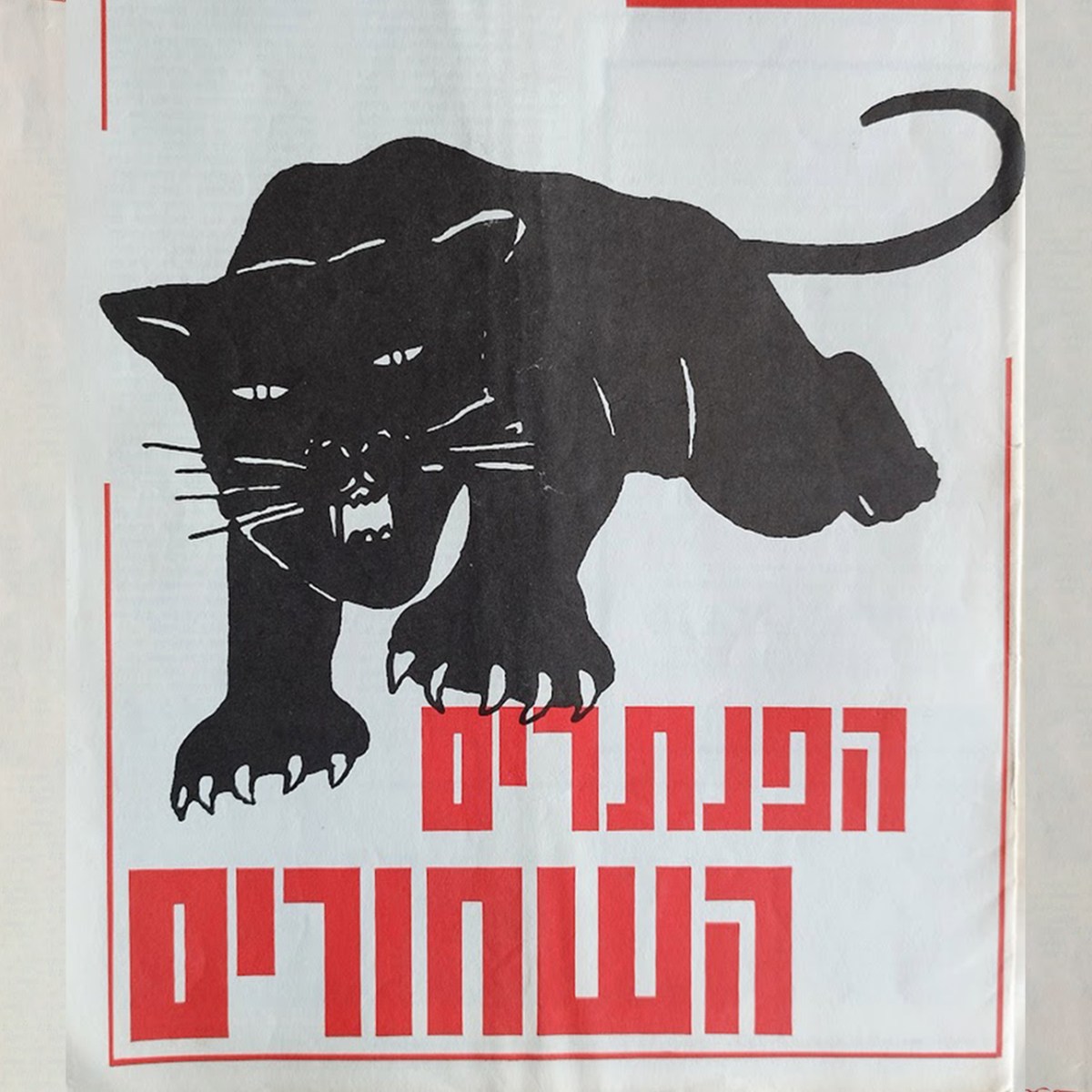 הפנתרים השחורים