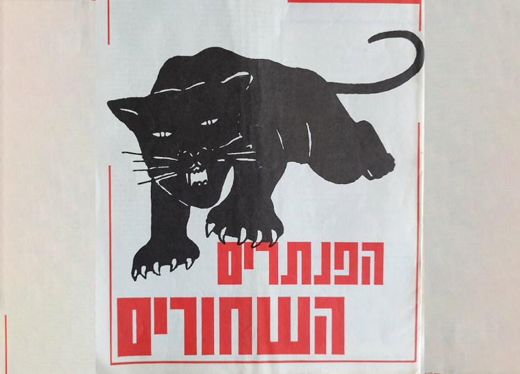 הפנתרים השחורים