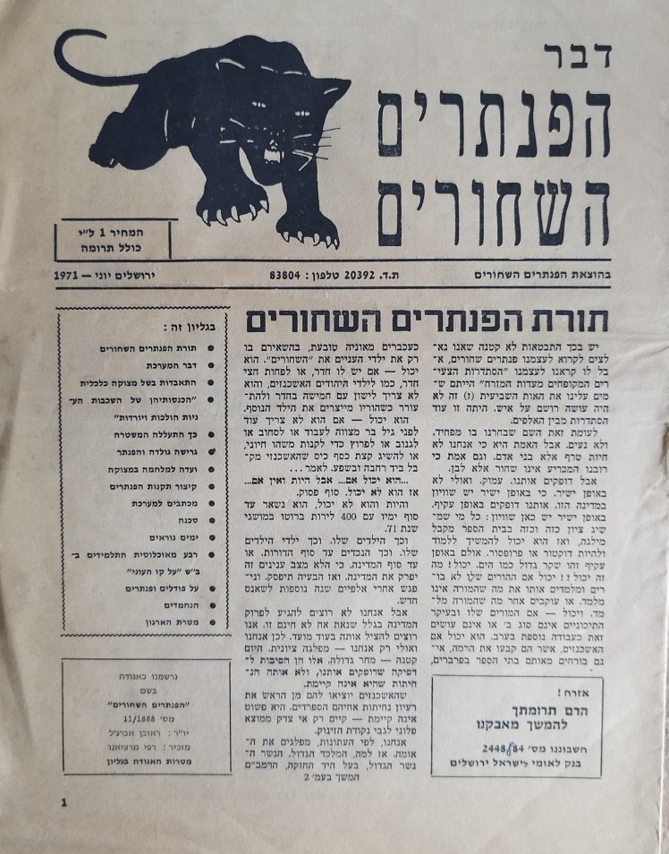 דבר הפנתרים השחורים