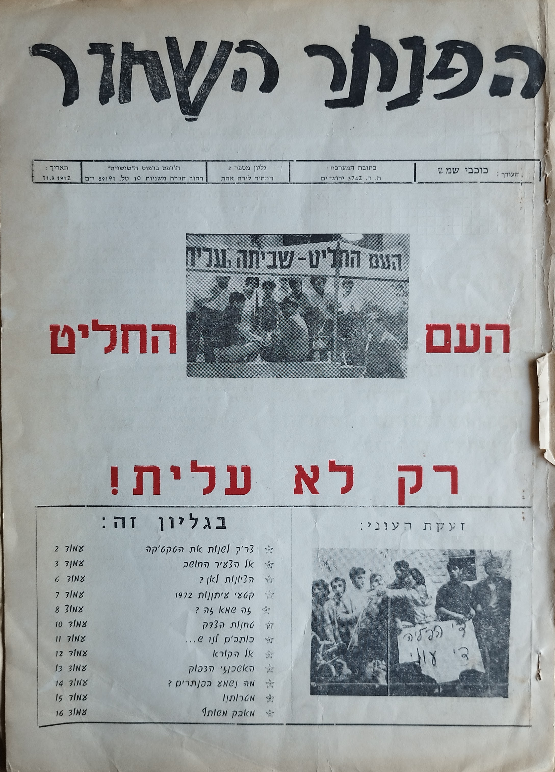 הפנתר השחור