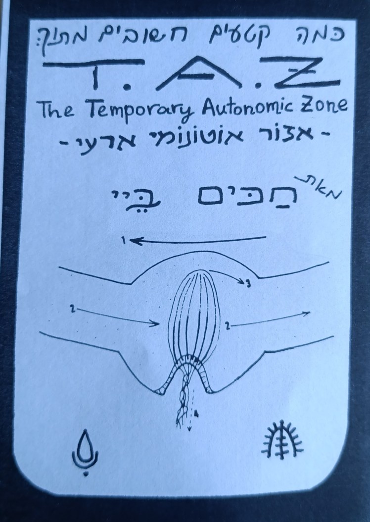 כמה קטעים חשובים מתוך: אזור אוטונומי ארעי | חכים&nbsp;ביי